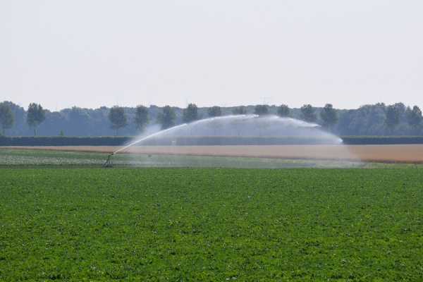Droogte in NEPG