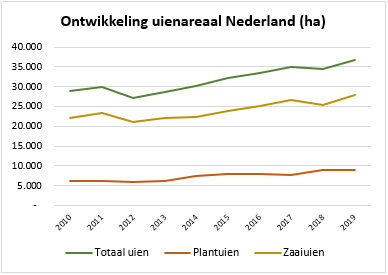 Het areaal uien breidt in 2019 uit met 6,8%