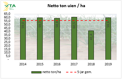 Proefrooiing uien 2019 geeft aan dat opbrengst op langjarig gemiddelde zit.